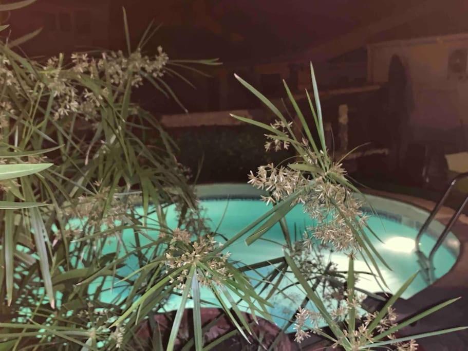 Piscine Cosy, 3 Chambres, 3 Sdb, Havre De Paix A 10 Min Des Plages Mauguio Buitenkant foto