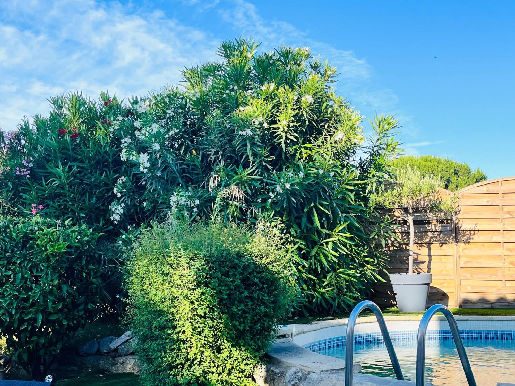 Piscine Cosy, 3 Chambres, 3 Sdb, Havre De Paix A 10 Min Des Plages Mauguio Buitenkant foto